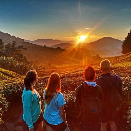 C1 Backpackers Hostel Cameron Highlands Bagian luar foto