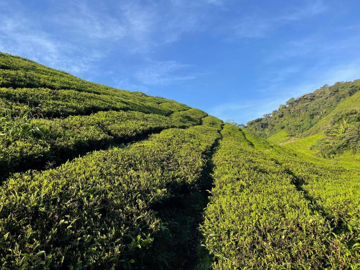 C1 Backpackers Hostel Cameron Highlands Bagian luar foto